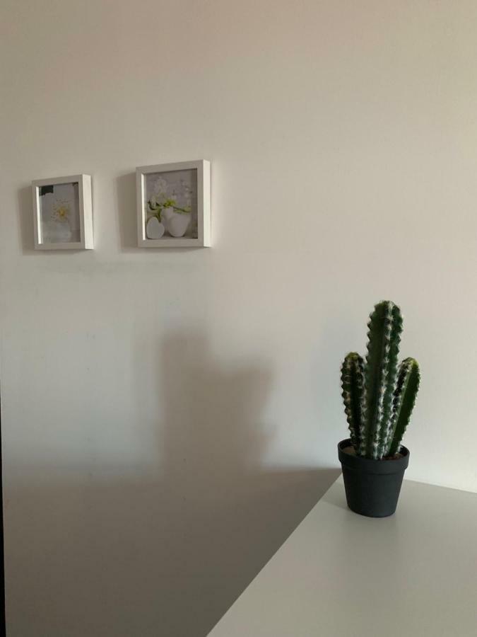Kala 90M2 Quartier Des Halles Perpignan Exterior foto